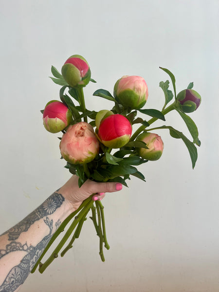 Seasonal En Masse Bouquet