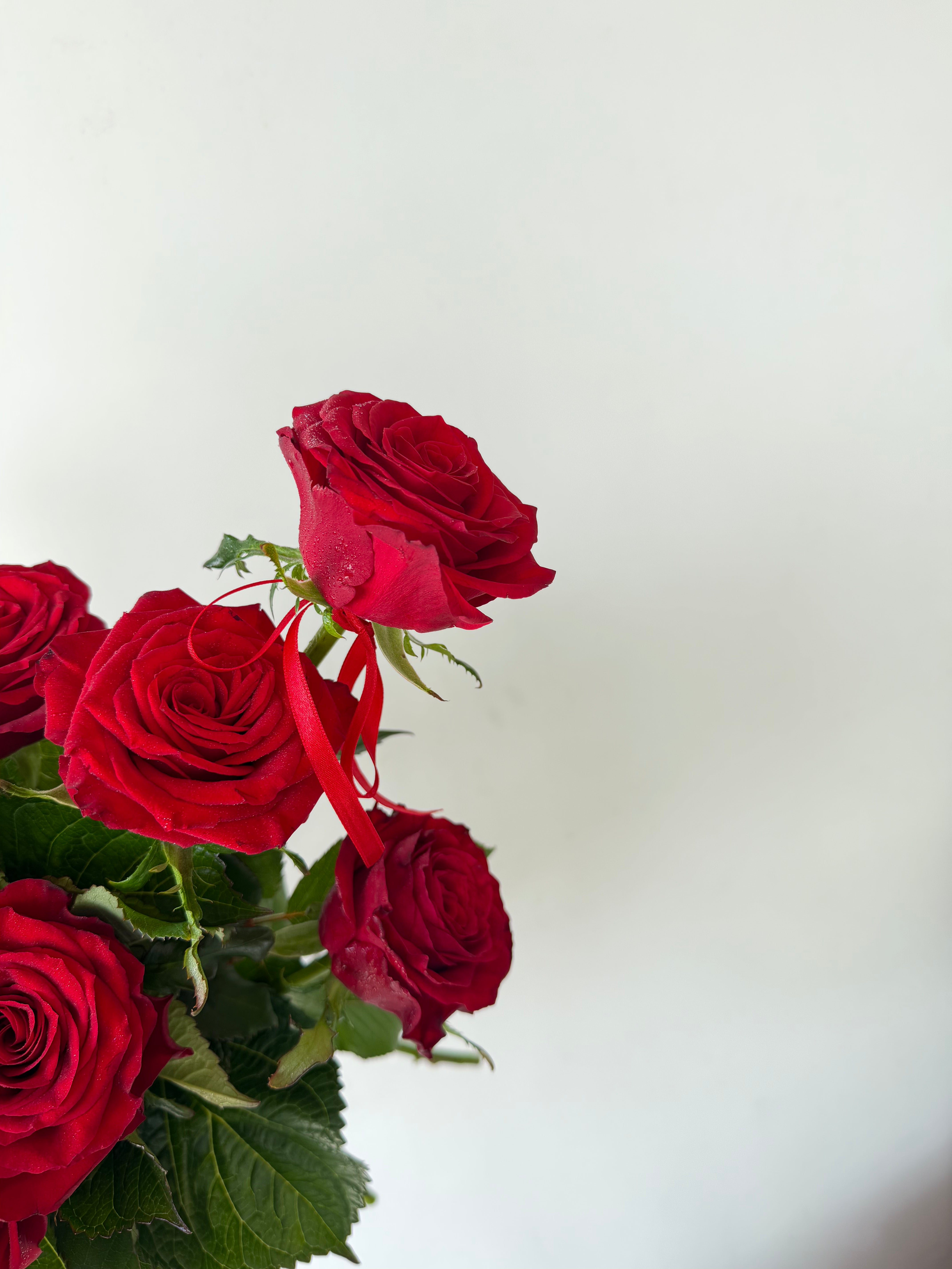 Valentines Day - Roses