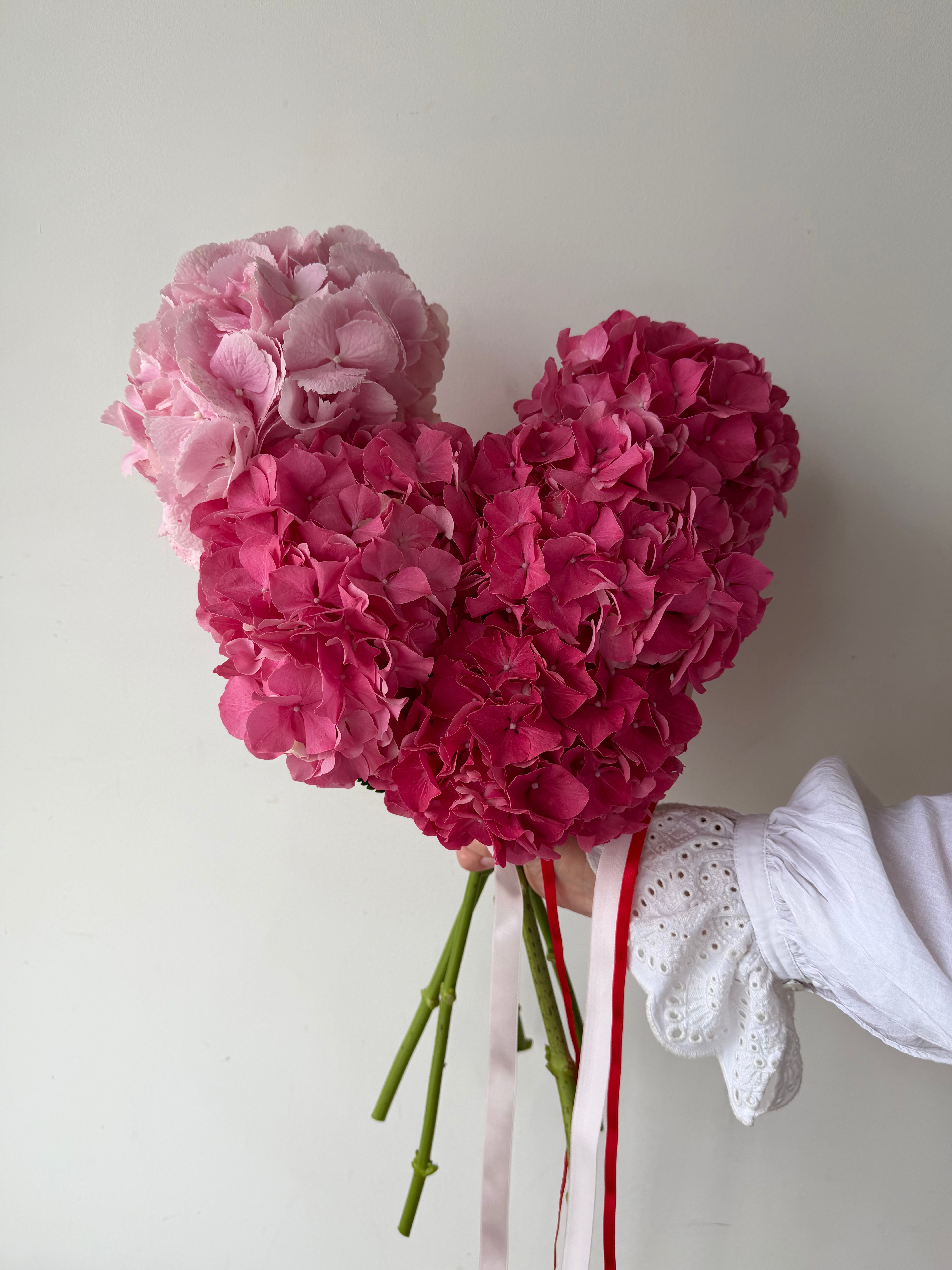Valentine Day Hydrangeas