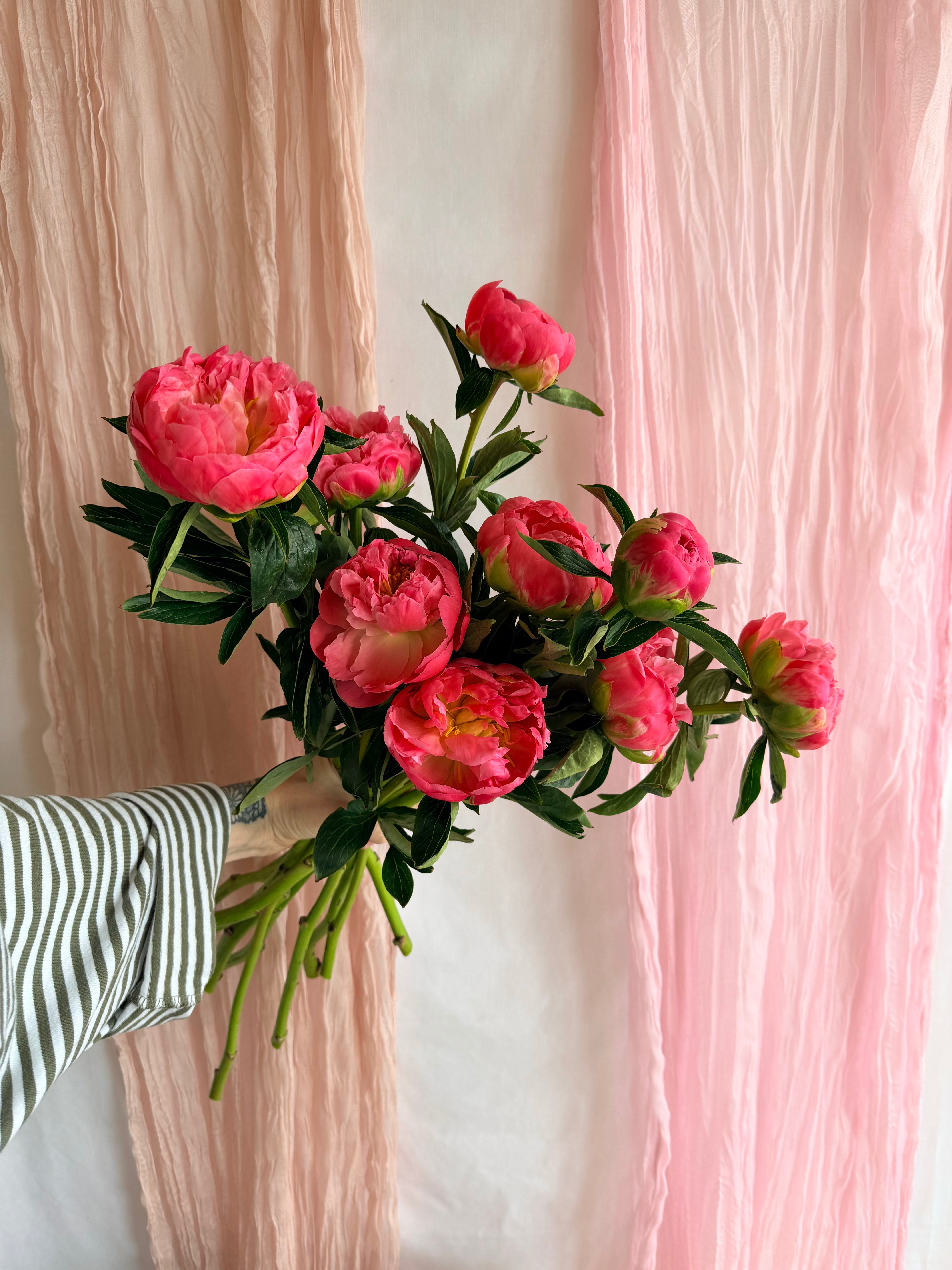 Peony En Masse